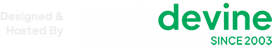 Web Design Company in Pretoria